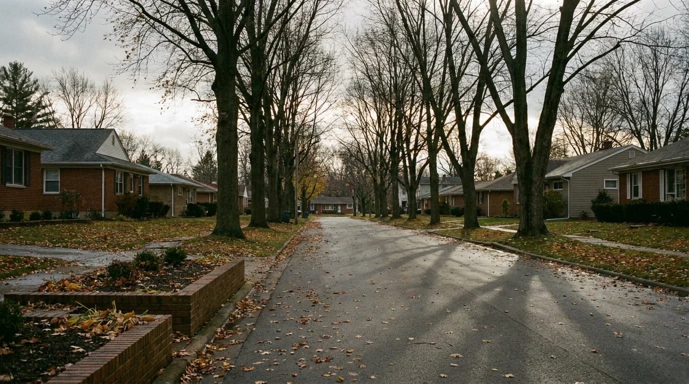 An ordinary tree-lined residential street in low afternoon light, empty of people, with long shadows across the pavement.