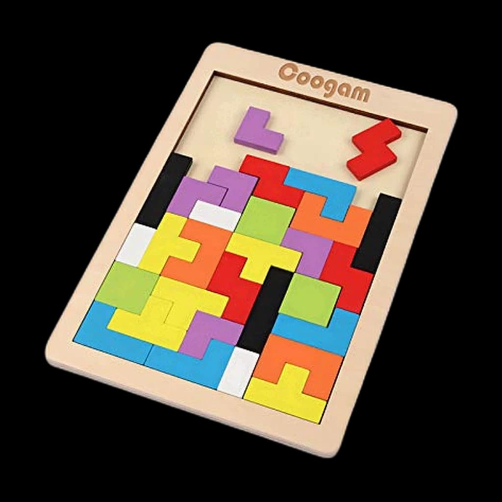 Coogam Wooden Brain Teaser Puzzle Set