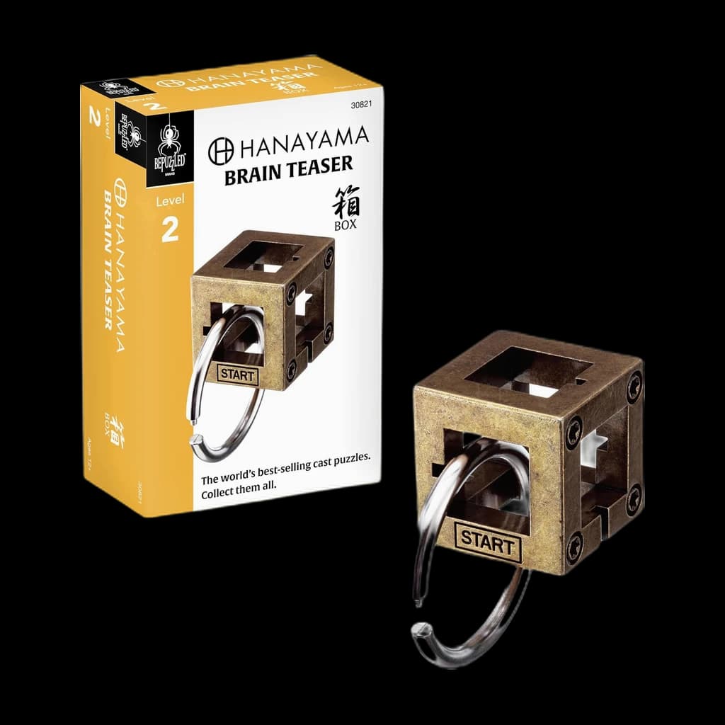 Hanayama Cast Box (Level 2)