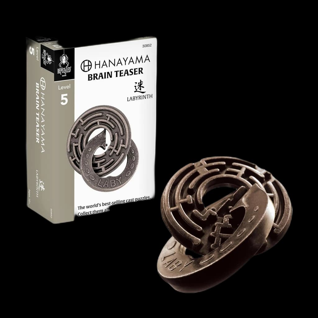 Hanayama Cast Labyrinth (Level 5)
